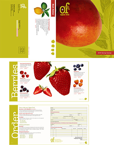 catalog design